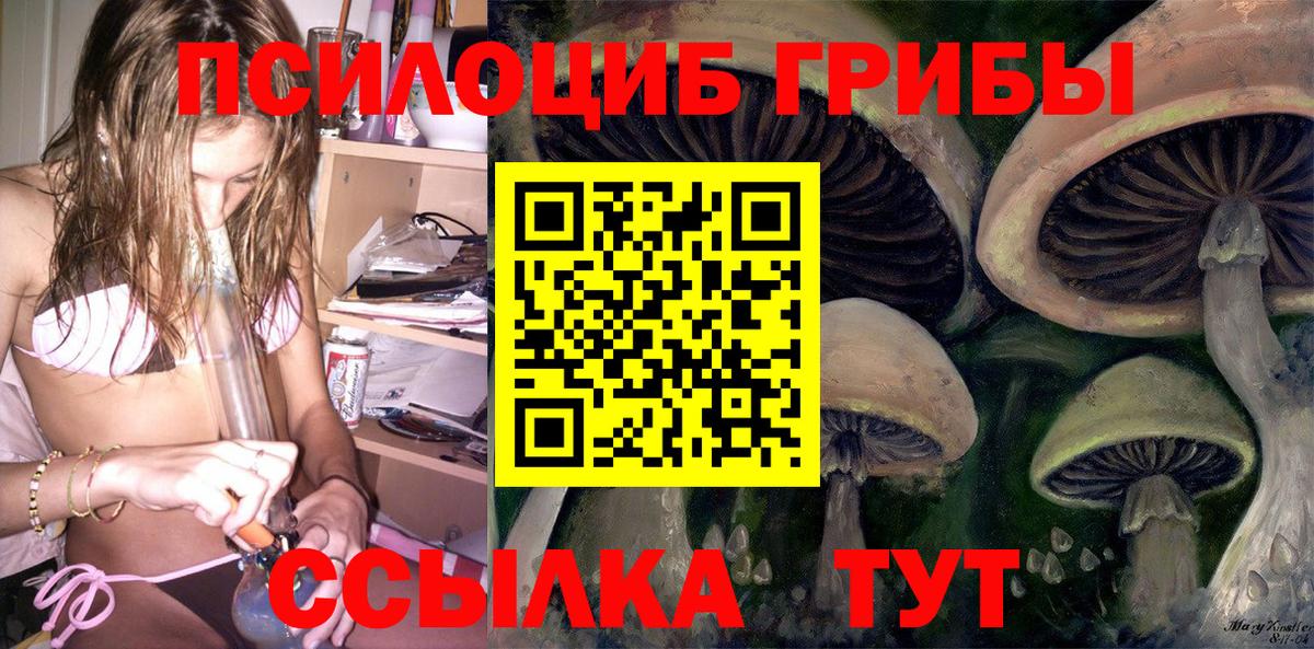 Вязники  Галлюциногенные грибы MAGIC MUSHROOMS  Вход с VPN  Галлюциногенные грибы прущие грибы 